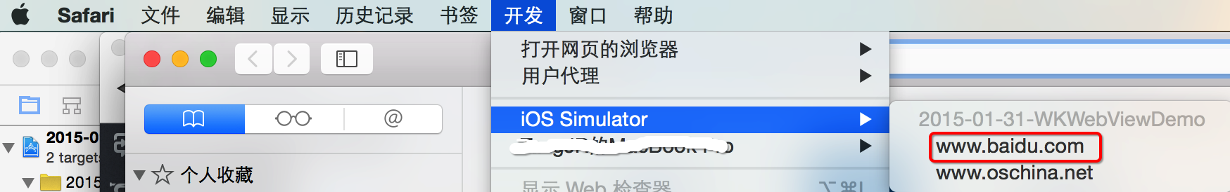 Safari Develper